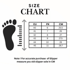 Man summer flip-flop